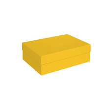 Коробка жёлтая 210х150х70 мм